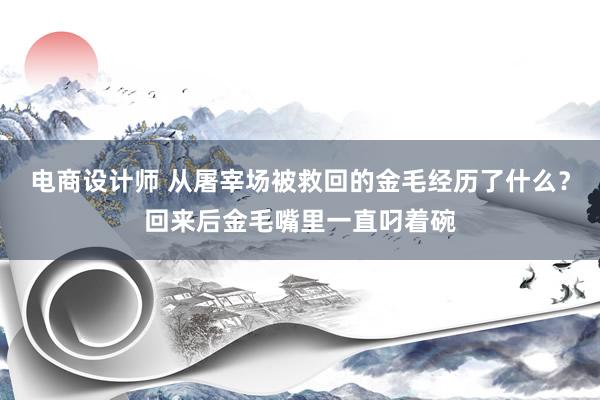 电商设计师 从屠宰场被救回的金毛经历了什么？回来后金毛嘴里一直叼着碗