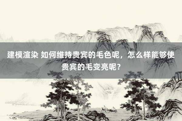 建模渲染 如何维持贵宾的毛色呢，怎么样能够使贵宾的毛变亮呢？